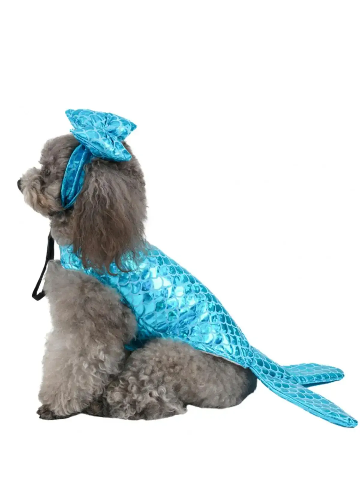 Dog Mermaid Halloween Costume