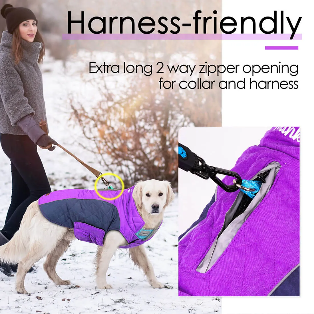 Dog Winter Coat - Super Warm With Reversible Stripe - Winter Dog Gear | ThinkPet