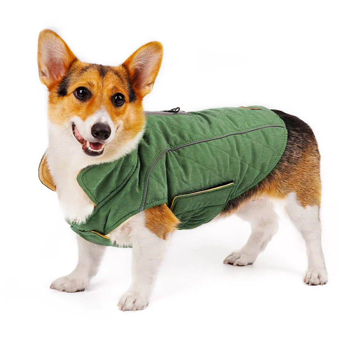 Dog Winter Coat - Super Warm With Reversible Stripe - Winter Dog Gear | ThinkPet