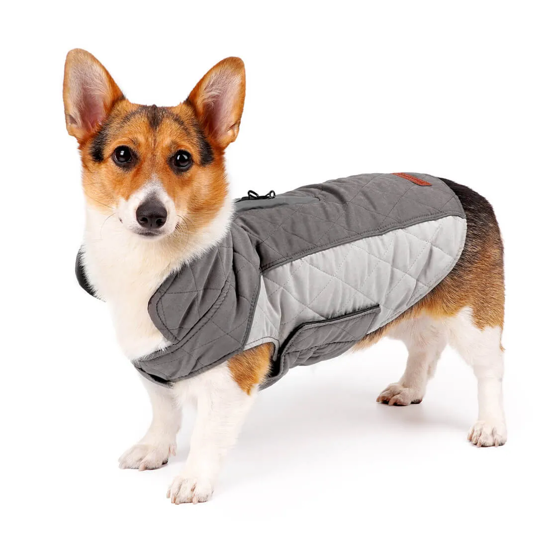 Dog Winter Coat - Super Warm With Reversible Stripe - Winter Dog Gear | ThinkPet