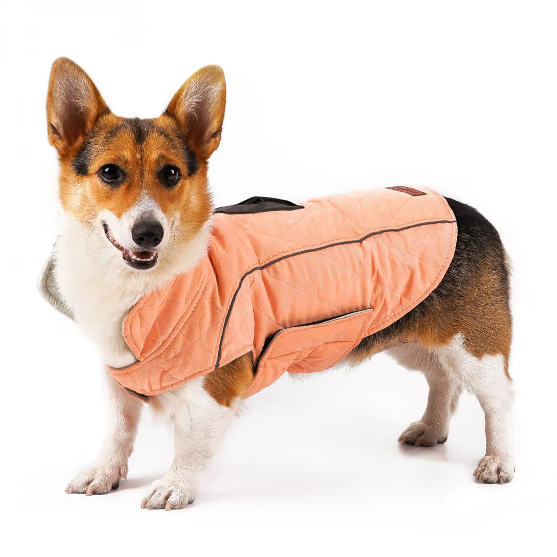 Dog Winter Coat - Super Warm With Reversible Stripe - Winter Dog Gear | ThinkPet