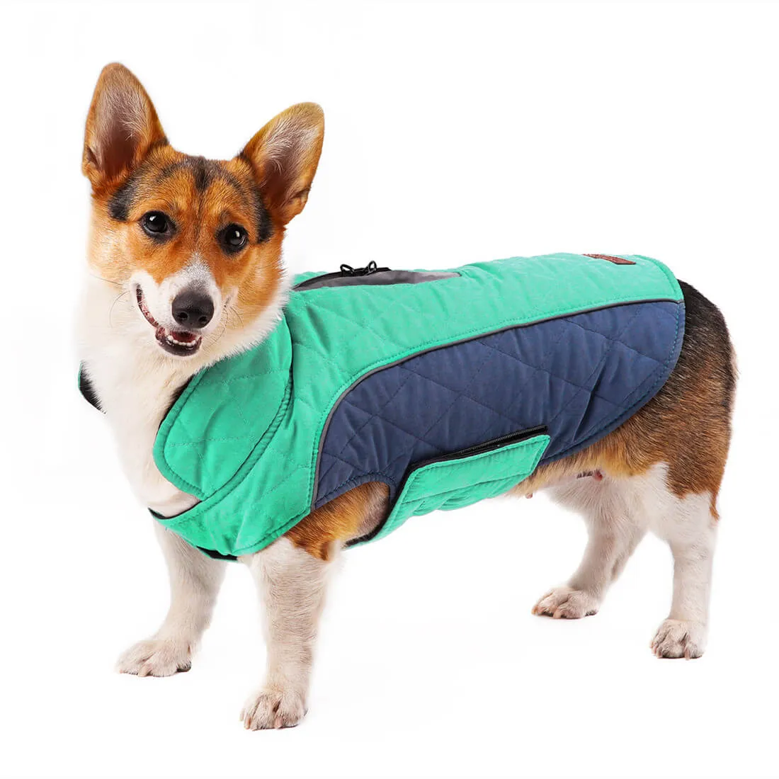 Dog Winter Coat - Super Warm With Reversible Stripe - Winter Dog Gear | ThinkPet