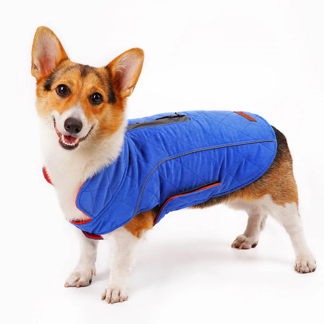 Dog Winter Coat - Super Warm With Reversible Stripe - Winter Dog Gear | ThinkPet