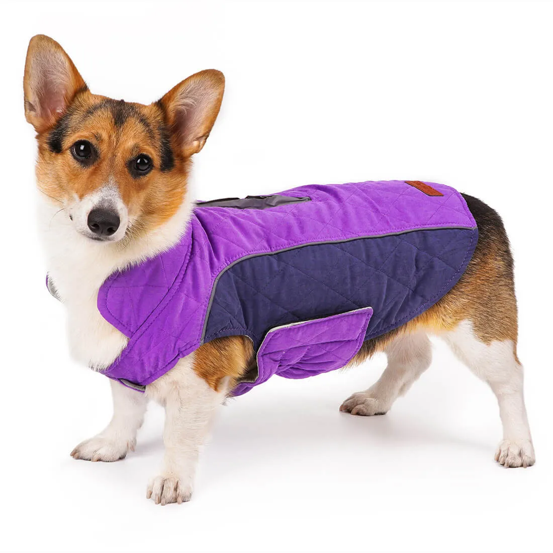 Dog Winter Coat - Super Warm With Reversible Stripe - Winter Dog Gear | ThinkPet