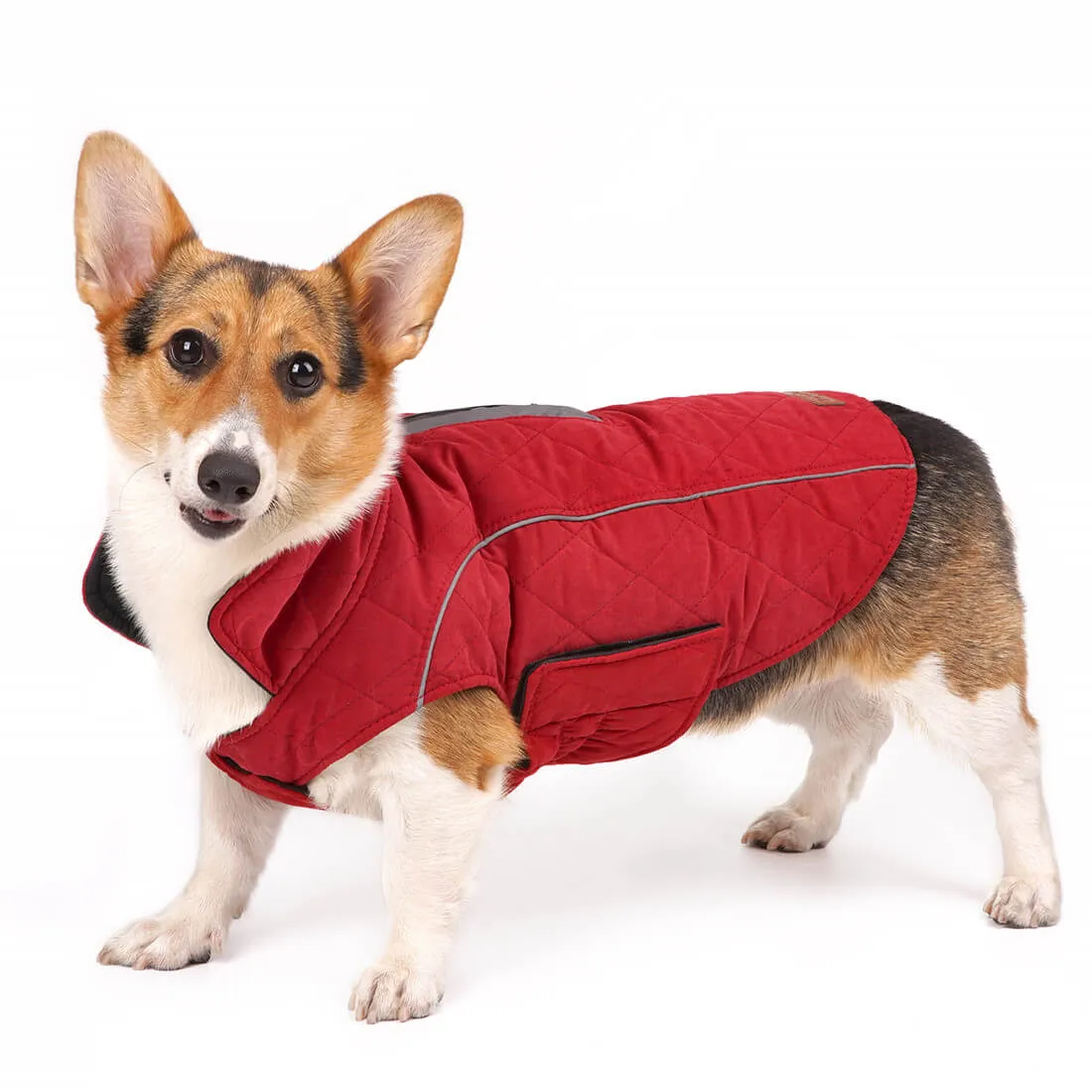 Dog Winter Coat - Super Warm With Reversible Stripe - Winter Dog Gear | ThinkPet