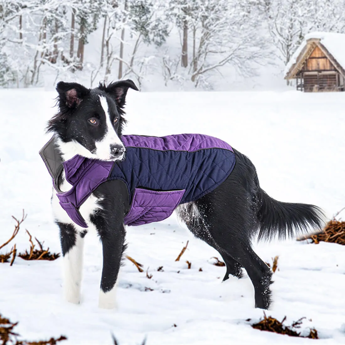 Dog Winter Coat - Super Warm With Reversible Stripe - Winter Dog Gear | ThinkPet