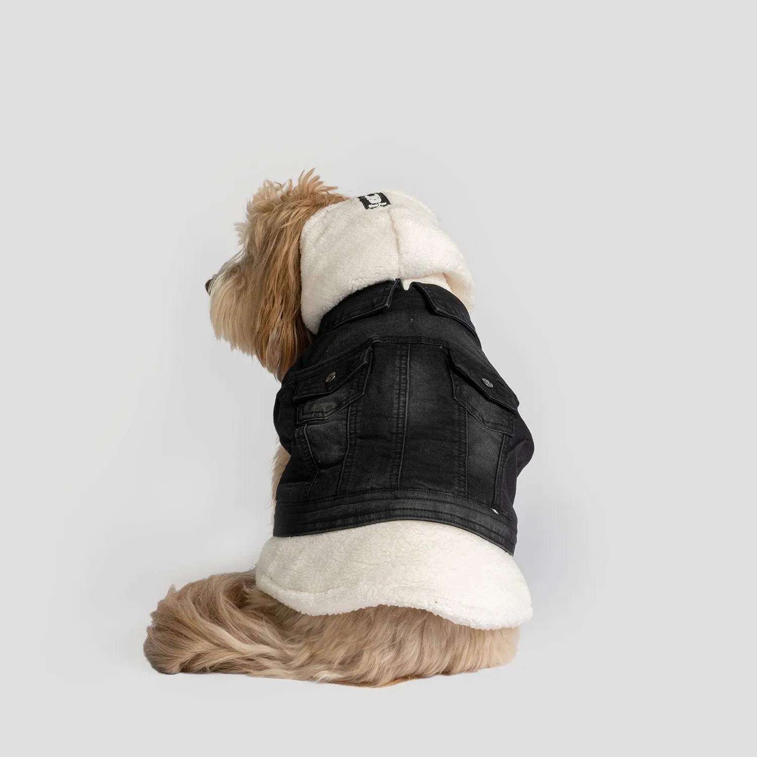 Justin - Denim Dog Jacket (Black)