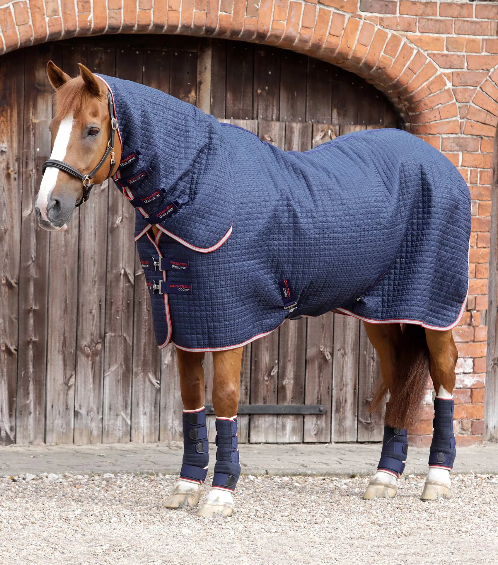 Premier Equine Combo Dry-Tech Horse Cooler / Travel  Rug