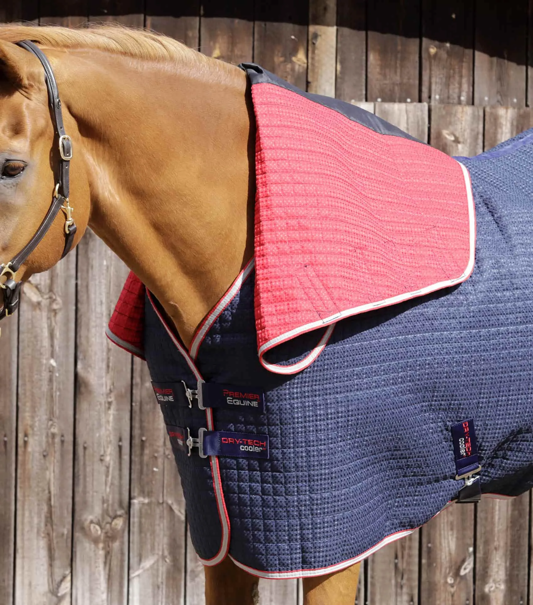 Premier Equine Combo Dry-Tech Horse Cooler / Travel  Rug